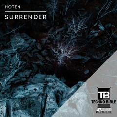TB Premiere: Hoten - Surrender (Dub Mix) [43 Degrees Records]