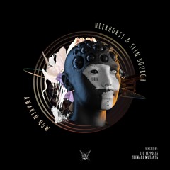 Heerhorst, Slin Bourgh -  Dark Lights (Leo Lippolis Remix)