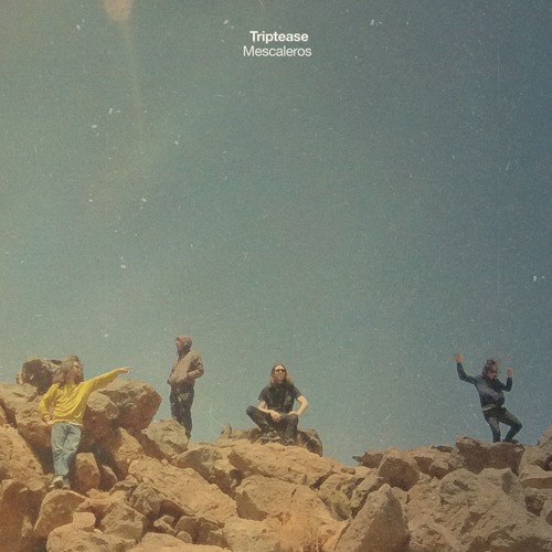 VQLP009 A1 - Drumses III PM VINYL