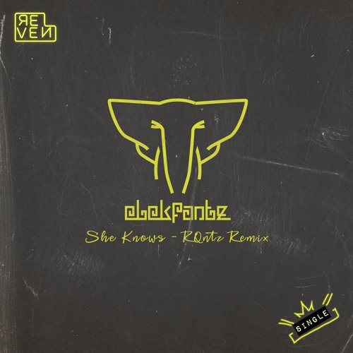 Elekfantz - She Knows (RQntz Remix)