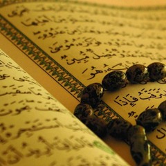 لَا يَغُرَّنَّكَ تَقَلُّبُ الَّذِينَ كَفَرُوا فِي الْبِلَادِ | أحمد النفيس