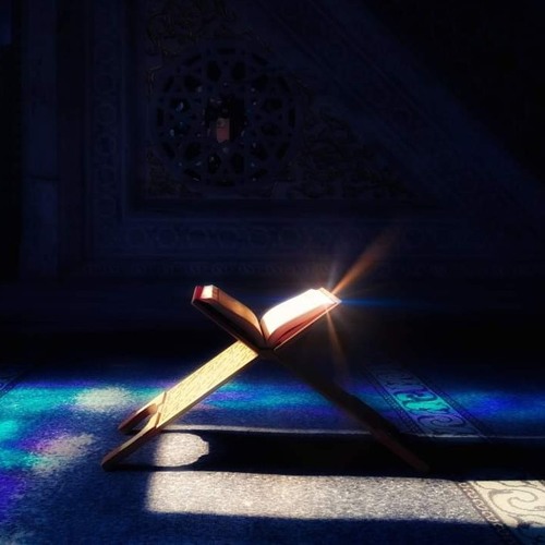 فَاسْتَجَابَ لَهُمْ رَبُّهُمْ | أحمد النفيس