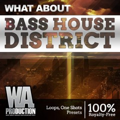Joyryde / Ghastly Style Bass Loops & Presets | Bass House District