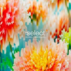 Global Underground: Select #5 (Preview)