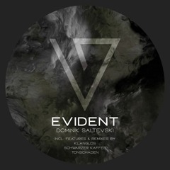 Dominik Saltevski - Acid Smog (Klanglos Remix)