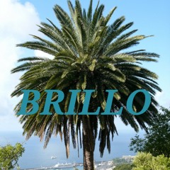 BRILLO - littleboy.ft santigonn