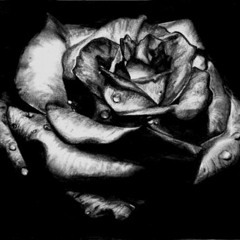 poems…