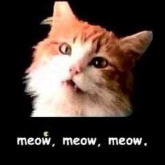Meow Mix Song