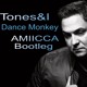 on Dance Monkey (Amiicca Rework)Tones&amp;I - Extended Version