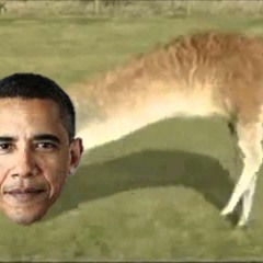 Obama Is A Llama (ft R4ID)