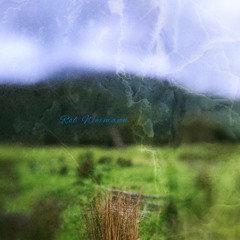 Freight Train- Rob Weimann