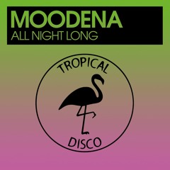 Moodena - All Night Long (Original Mix)