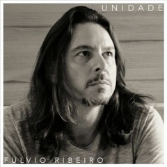 Nas Asas do Beija Flor