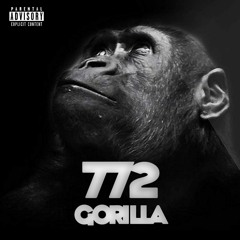772 Gorilla (Freestyle)