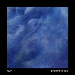 Podcast 014 - OWL