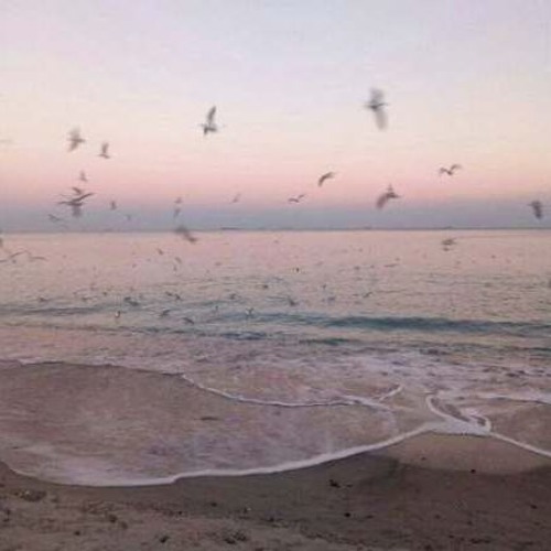 و إذا سألكَ عبادى عنّى فإنّى قريب " للشيخ عبد الباسط عبد الصمد "