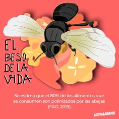 Mujeres Abeja