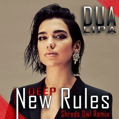 Dua Lipa - New Rules (Shreds Owl Remix)