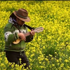 IV ALCORCE - Fandango