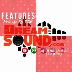 Dream Sound Media Features 2020