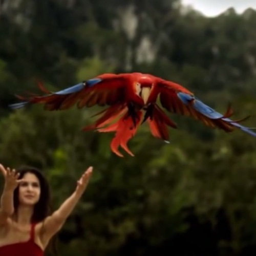 ✨💎DIAMOND SHOWERS: Papaya Playa Tulum 2020💎✨