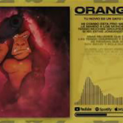 MESITA - ORANGUTAN