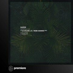 Premiere: Barbur - Modular (Alexi Delano & ZEE Remix) - Frequenza