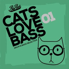 Big Pack | Cats Love Bass 01 [Drum & Bass Mix]