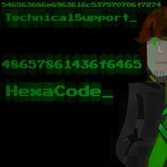 HexaCode - Technical Support