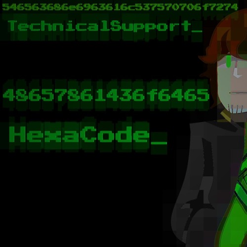 HexaCode - Technical Support
