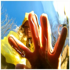 A Fault In This Machine