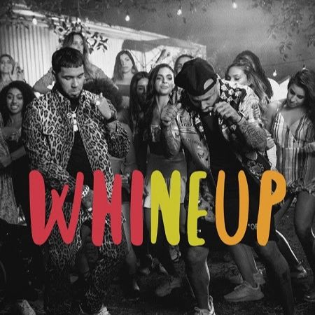 Anuel AA, Charly Black, Daddy Yankee, Nicky Jam – Whine Up vs Party Animal (Felipe Moya Edit)