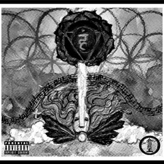 ART-SMOKE- BLACK VISHUDDHA