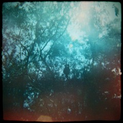 Ice Cold Thick Shake