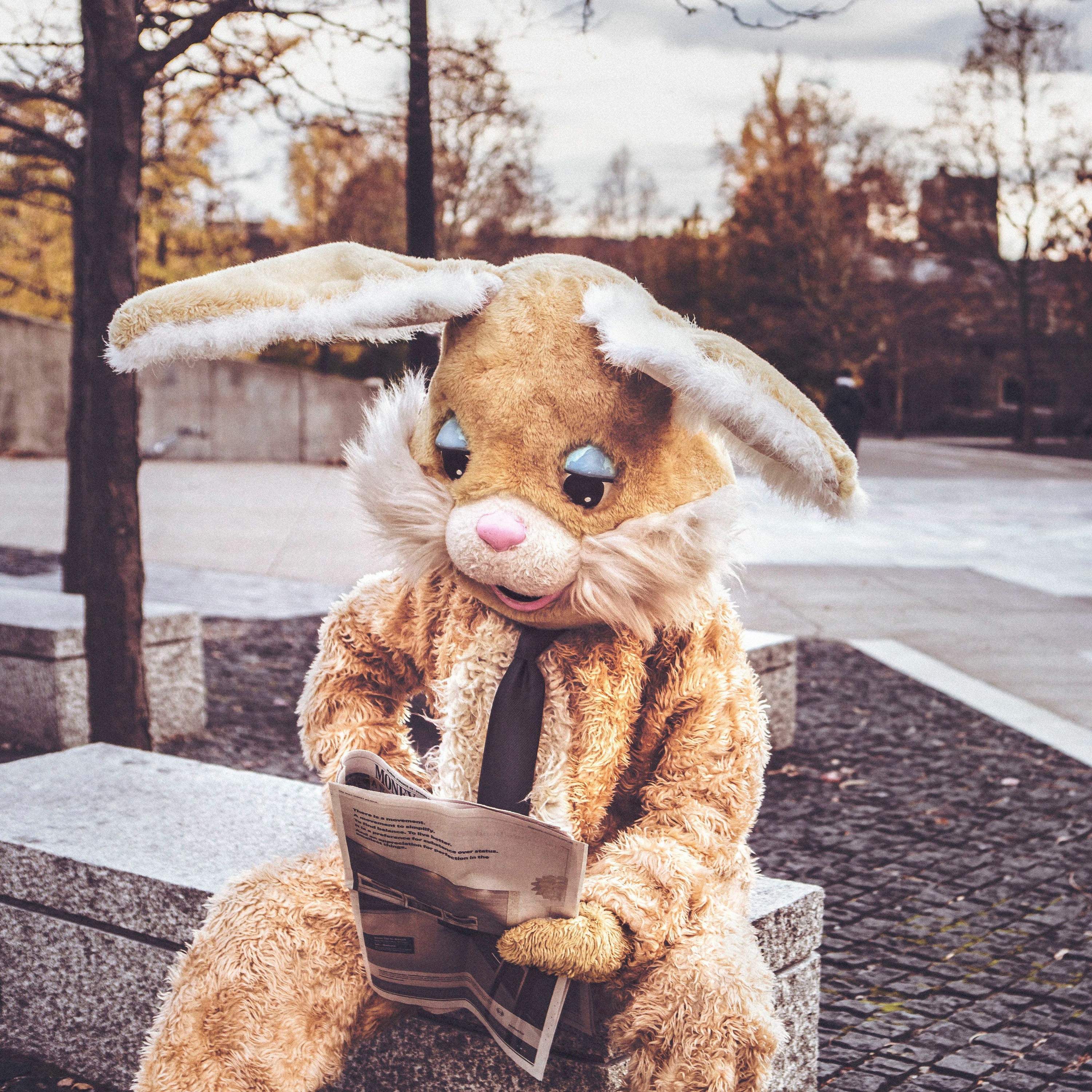 Le temps d\'un lapin