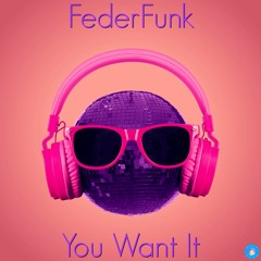 FederFunk- You Want It (Original Mix)