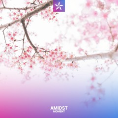 Amidst - Moment