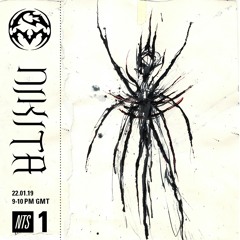 PM NTS - Endgame & Nikita (22.01.20)