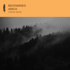 Beatamines - Amica (snippet)