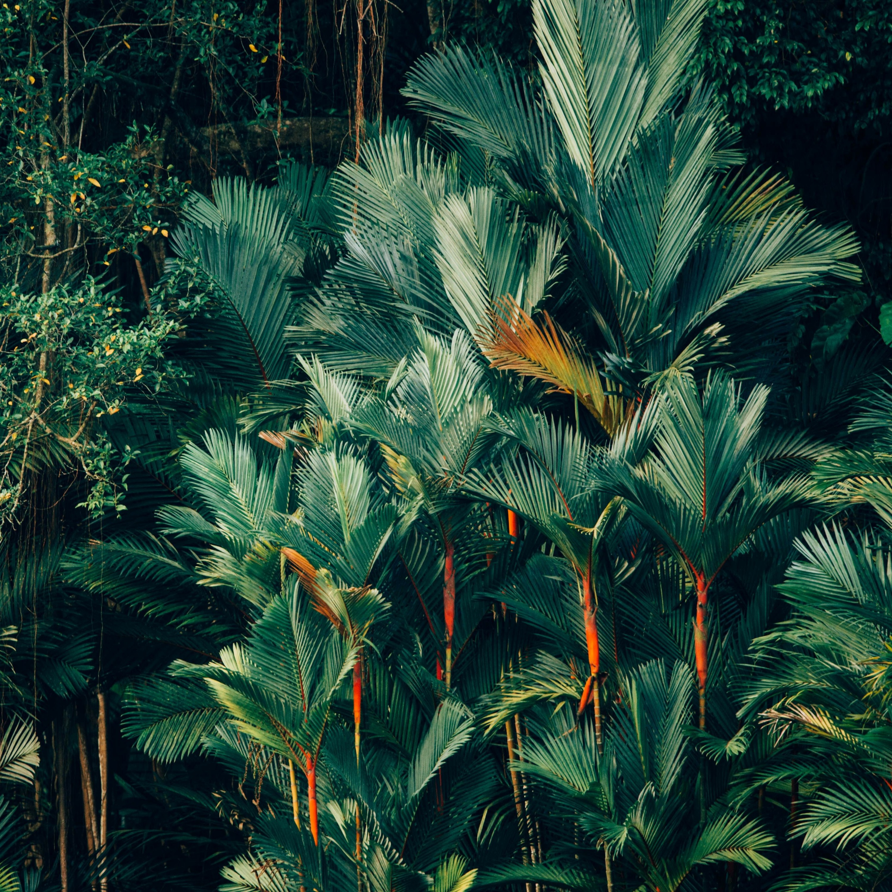 Mercredis Ecologie - Youmatter