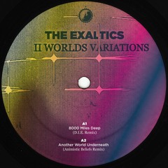 The Exaltics - II Worlds Variations - CWCS014.1