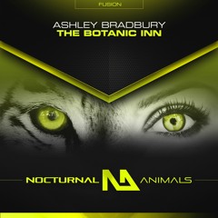 OUT 10/02/20 Ashley Bradbury - The Botanic Inn (RADIO EDIT)