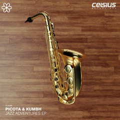 Picota & Kumbh - Agent 00PK