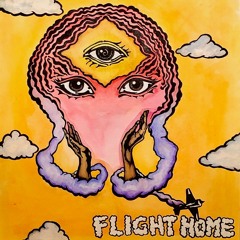 Flight Home
