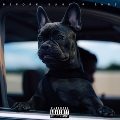 06. Hitman Fuego - Before Summer Ends