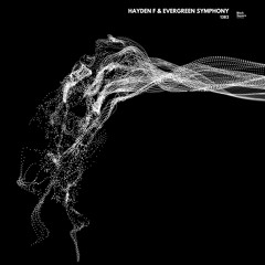 Evergreen Symphony - Impact (Original Mix)