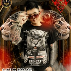 The Thai Nhan Tinh - CuongPlay Remix