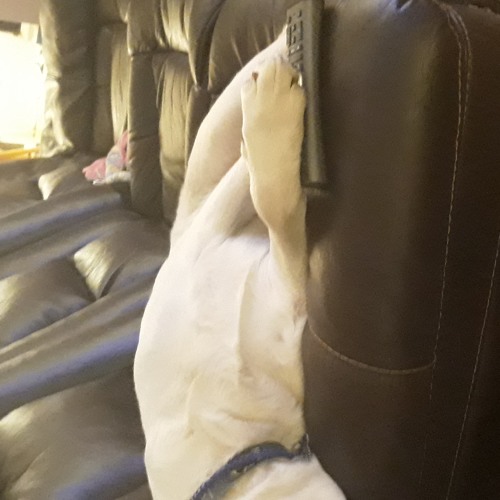 RaiderForerunner By John Monroe .mp3