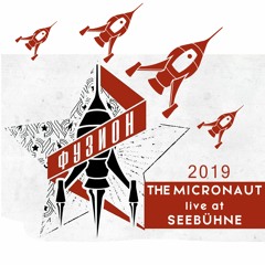 Fusion 2019 / live at Seebühne