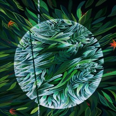 MNMT Premiere: Polygonia – Enigmatic Forest